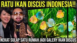 RATU IKAN DISCUS INDONESIA!! NEKAT SULAP SATU RUMAH JADI GALERY IKAN DISCUS!! | ZORA DISCUS