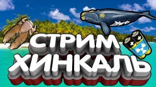 Стрим РР3 Ловля Сундуков Оф Туры