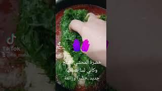 تفريز خضرة المحشي، شوفي لسا مطلعاها من الفريزر  بالثلج وخضرا وتحفة 