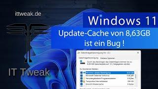 Windows 11 24H2 - Update Cache von 8,63GB ist ein Bug