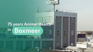 MSD Animal Health Boxmeer celebrates 75 years