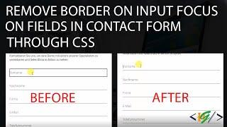 How to Remove Border on Focus input textbox textarea through css in website