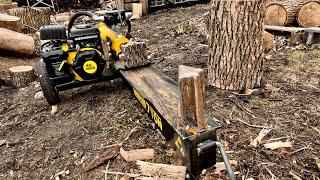 Splitting Twigs with Modified Champion 7-Ton Gas Log Splitter- Spring Startup