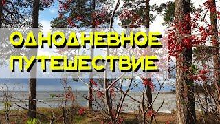 Однодневное путешествие | Мыс Флотский, Высоцк, крепость Тронгзунд, Ермилово, Советский, Подборовье