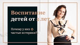 Воспитание детей от 2 лет. Что делать с истериками?