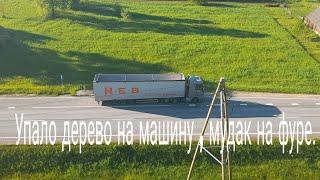 Упало дерево на машину.Мудак на дороге.Обслуживание щеповоза.