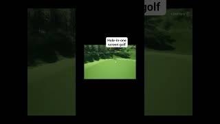 Hole-in-one screen golf #holeinone#screengolf #holineonegolf