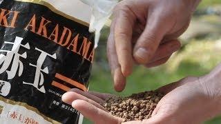 Bonsai soil