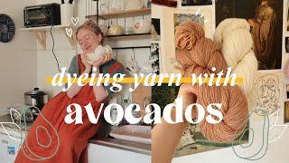 hand dyeing yarn with avocados  | natural & simple way to dye yarn