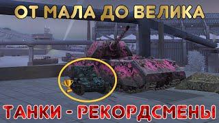 Сколько весит самый МАЛЕНЬКИЙ танк в WoT Blitz | Танки рекордсмены | Zlobina Liza