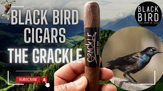 NEW BLACK BIRD CIGARS “THE GRACKLE” | @cigarheadtv CIGAR REVIEWS