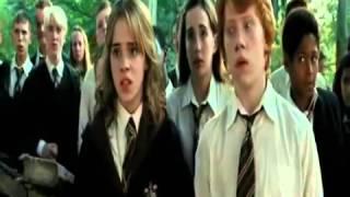 Ron & Hermione   Беспощадная сука, стерва