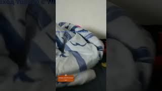 давай те наберем #cat #туся