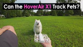 HoverAir X1 - Can It Track Dogs?