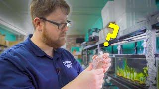 This Fish Stole Our Store Manager's Heart [Unboxing]