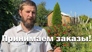 Принимаем заказы // Мёд 2024