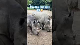 Guess the animal.. japan zoo (toyohashi).. #japan #travel #love #haryanavi #befikre #myjapan #yt