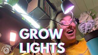 Let's talk Growlights (not sponsored) and plant update | Plant with Roos