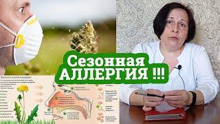 СЕЗОННАЯ АЛЛЕРГИЯ !!! / Поллиноз - аллергия на пыльцу / Дела аптечные