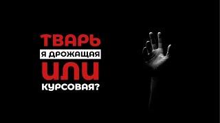 IAM-5 - Курсовая работа