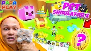 ЗАЛИП в Pet Simulator X