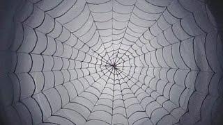 Acrylic Painting - Spider Web Painting