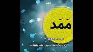 این قسمت دیس ممدها 