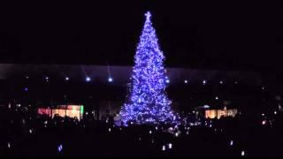 2015 Saddleback Church Christmas Tree Lighting Moment