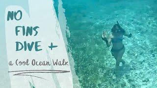 Underwater Swimming _ No Fins _  Walking In the Ocean Holding A Rock