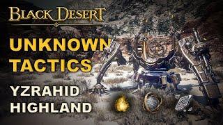  BDO | Unknown Tactic for Yzrahid Highlands | Better Trash P. Hour | Best Agris Spot | Quick Guide