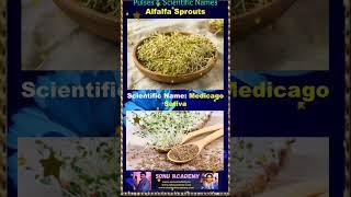 Alfalfa Bean #pulse #biology #scienceshorts #scienceeducation #educación #shorts #video