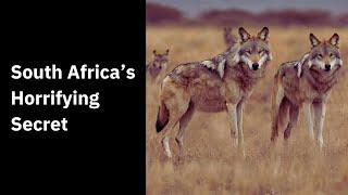 Apartheid's Manhunter Wolves