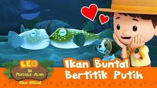 Ikan Buntal Bertitik Putih | Leo Si Penjaga Alam | #minisode