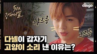 [광고] 강다니엘이 갑자기 고양이 소리를 낸 이유는!?다녤이 한 번 웃어줄 때마다 딩고 심장 쿵 하고 내려 앉았자나..ㅠㅠ / 50色, 강다니엘