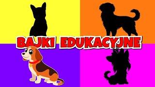 Filmy edukacyjne po polsku - Pieski - Bajki dla dzieci