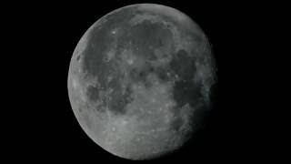 The Moon in motion - Libration