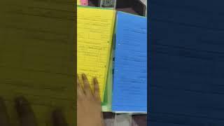 Account class 11 project journal entry ledger trial balance balance sheet