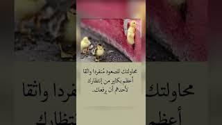 اقوال وحكم رائعة للعقول الراقية - عبرة و حكم نادره - بالتأكيد أنت المقصود #حكم #حكمة_اعجبتني #حكمة