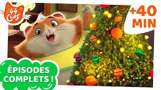 44 Chats | 40 MINUTES | Épisodes Complets Compilation | Le plus chattastique Histoires de Noël ️