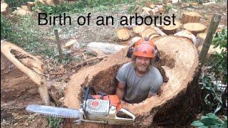 What it’s like being an Arborist