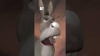 Donkey filter