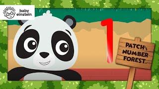 Learning 1, 2, & 3 | Patch's Numbers Forest | Baby Einstein | Toddlers Show | Kids Cartoons