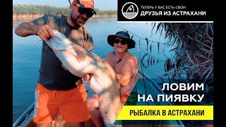 РЫБАЛКА В АСТРАХАНИ НА ПИЯВКУ!