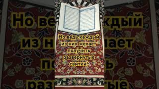 Смыслы Корана. #истина #проповедь #молитва #бог #религия #ислам #коран #смыслжизни #вера #послание