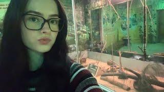 ASMR at the zoo (wild life sydney walkthrough) 