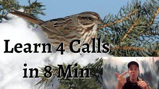 Learn 4 Bird Calls in Under 8 Minutes - Birding- By-Ear