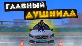 ГЛАВНЫЙ ДУШНИЛА В ГИБДД! | БУДНИ ДПС №52 | MTA Province Demo