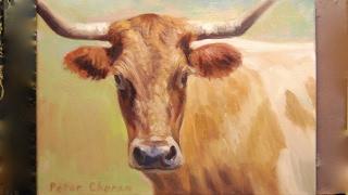 "Cow Portrait" Painting Journal of doing/making this Oil Painting