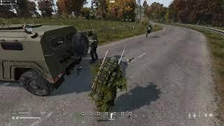 Приняли тигр DayZ