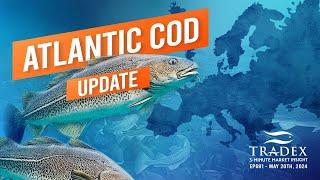 3MMI - Atlantic Cod: Pricing, Supply, Norway - Russia - Iceland Outlook